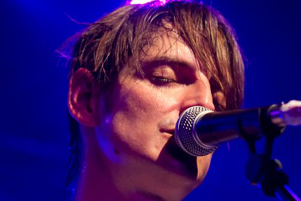 the wombats